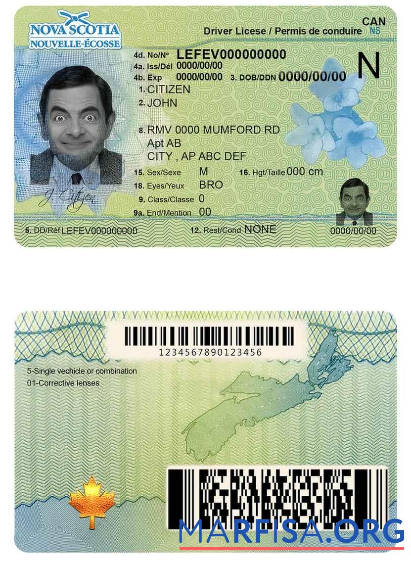 Downloadable Canada Nova Scotia driving license real example